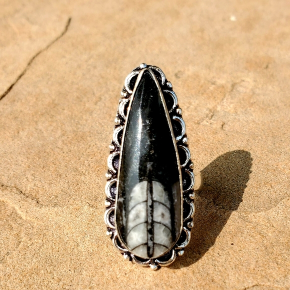 New Orthoceras Fossil Silver Ring. - Picture 5 of 6